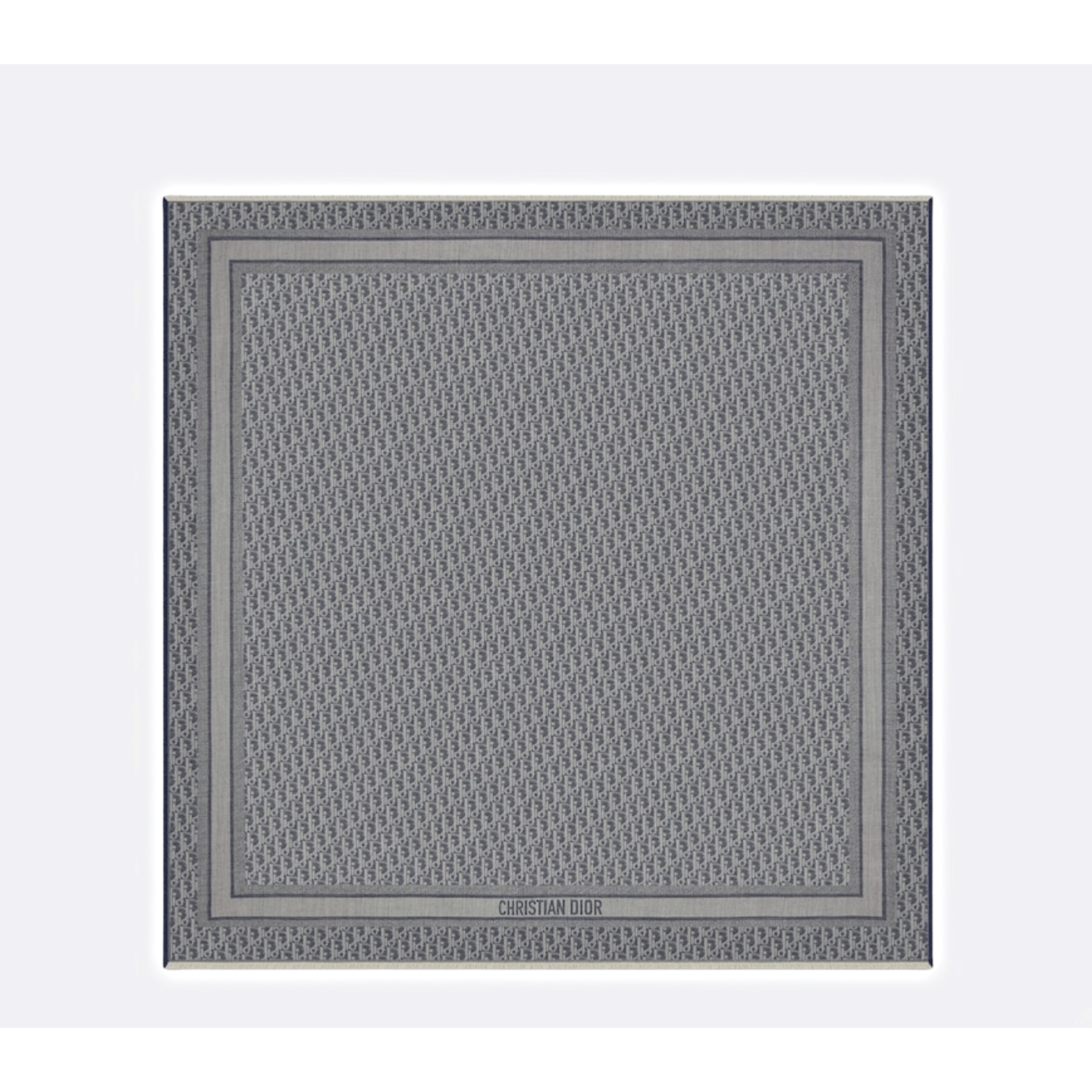 Chale Dior Oblique Denim