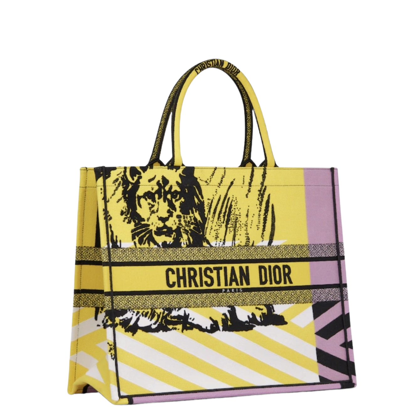 Sac Dior Book Tote large